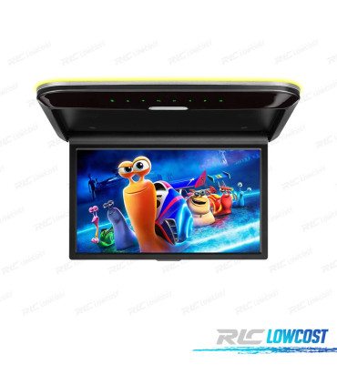 ÉCRAN DE TOIT PLAFOND 14" HD AV USB NOIR