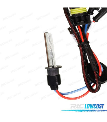 AMPOULE H1 KIT XENON