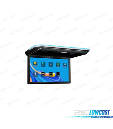 ÉCRAN DE TOIT FULL HD 17.3"