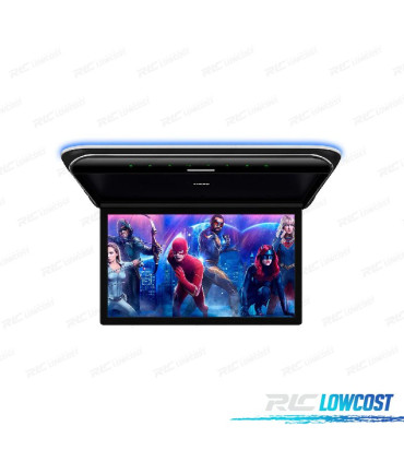 ECRAN DE TOIT FULL HD DE 19,5 "