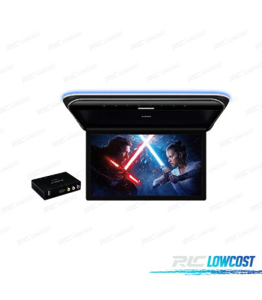 ECRAN DE TOIT FULL HD DE 19,5 "