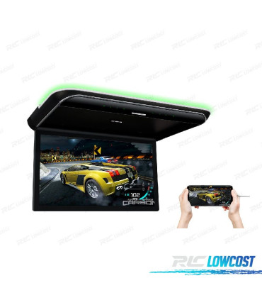 ECRAN DE TOIT FULL HD DE 19,5 "