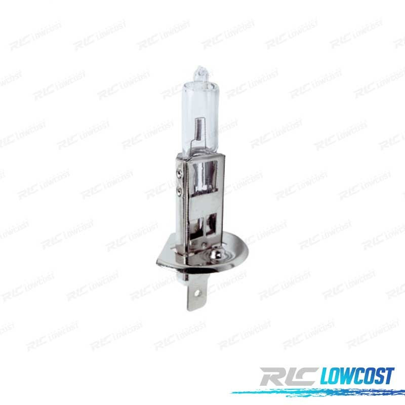 AMPOULE H1 12V 55W